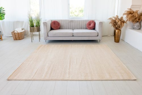 Modern szőnyeg Alina 1111 (Beige) 200x280cm Bézs-Krém