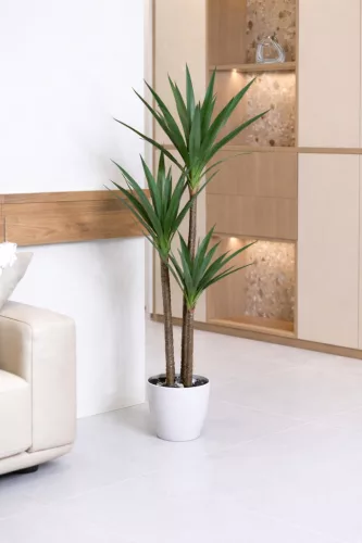 Műnövény Amazon 3db os Yuca pálma 120-130cm magas Fekete Kaspóval