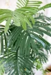 Műnövény Trópusi Arany pálma Dús Zöld 180cm magas Váza nélkül