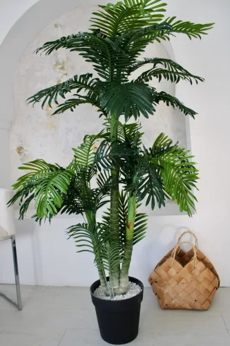 Műnövény Trópusi Arany pálma Dús Zöld 170cm magas Vázával 
