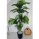 Műnövény Trópusi Arany pálma Dús Zöld 170cm magas Vázával 