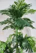 Műnövény Trópusi Arany pálma Dús Zöld 170cm magas Vázával 