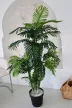 Műnövény Trópusi Arany pálma Dús Zöld 170cm magas Vázával 