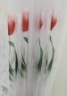 Kész függöny Aurora fehér Piros tulipán minta