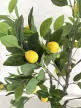 Műnövény Cítromfa élethű 120-130cm magas Fekete Kaspóval