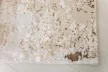 Modern szőnyeg Cleopatra 8399 (Beige-Cream) 160x230cm Bézs-Krém