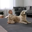 Modern szőnyeg Melba Plüss (Antracit) 