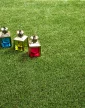 Műfű 50mm GREENLUX Zöld kültéri 200cm széles tekercs