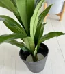 Műnövény Hawai Dús Zöld 130-135cm magas Fekete Kaspóval