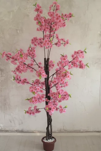 Műnövény Japán Cseresznyefa virág Rózsaszín 180cm magas  Barna Kaspóval