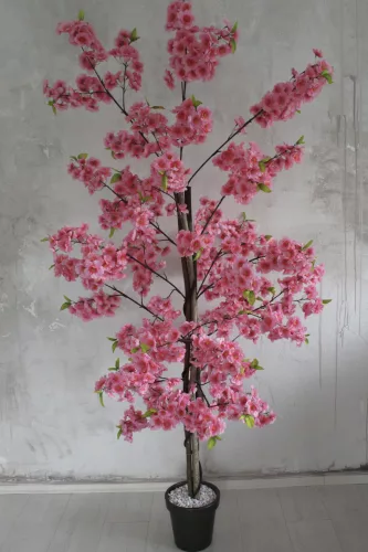 Műnövény Japán Cseresznyefa virág Rózsaszín 200cm magas  Fekete Kaspóval