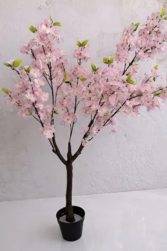 Műnövény  Japán Cseresznyefa 3 àgas halvàny Rózsaszín 140cm magas  Fekete Kaspóval