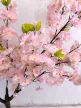 Műnövény  Japán Cseresznyefa 3 àgas halvàny Rózsaszín 140cm magas  Fekete Kaspóval