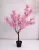 Műnövény  Japán Cseresznyefa 3 àgas Pink Rózsaszín 140cm magas  Fekete Kaspóval