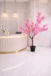 Műnövény  Japán Cseresznyefa 3 àgas Pink Rózsaszín 140cm magas  Fekete Kaspóval