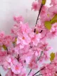 Műnövény  Japán Cseresznyefa 3 àgas Pink Rózsaszín 140cm magas  Fekete Kaspóval