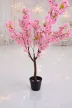 Műnövény  Japán Cseresznyefa 3 àgas Pink Rózsaszín 140cm magas  Fekete Kaspóval