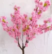 Műnövény  Japán Cseresznyefa 3 àgas Pink Rózsaszín 140cm magas  Fekete Kaspóval
