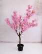 Műnövény  Japán Cseresznyefa 3 àgas Pink Rózsaszín 140cm magas  Fekete Kaspóval