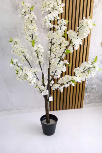 Műnövény Japán Cseresznyefa 77 Fehér 140cm magas Fekete Kaspóval