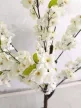 Műnövény  Japán Cseresznyefa 3 àgas Fehér 140cm magas  Fekete Kaspóval