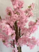Műnövény  Japán Cseresznyefa virág  Bézs Fa Dús Rózsaszín 180-190cm magas  Fekete Kaspóval