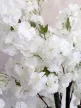 Műnövény  Japán Cseresznyefa virág  Dús Zöld Fa FEHÉR 180-190cm magas  Fekete Kaspóval