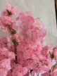 Műnövény  Japán Cseresznyefa virág Dús Zöld Fa Rózsaszín 180-190cm magas  Fekete Kaspóval
