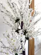 Műnövény  Japán Cseresznyefa virág  Fa FEHÉR 180cm magas  Fekete Kaspóval