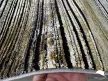 Modern szőnyeg Marble 392 (Black) 120x170cm Fekete-Arany