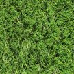 Műfű 50mm MARBELLA Zöld kültéri
