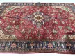 Kézi csomózású perzsa Tabriz Bordó-Zöldes szőnyeg 300x204cm