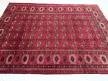 Kézi csomózású perzsa Turkmen Bordós szőnyeg 307x233cm