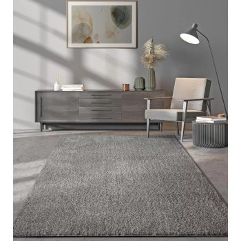 Modern szőnyeg Sacramento (Gray)