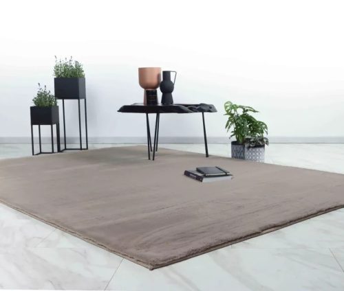 Nyuszi szőnyeg Relax (Brown) 120x170cm Barna