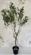 Műnövény Olívabogyó Fa Élethű Zöld 120-130cm magas Fekete Vázával