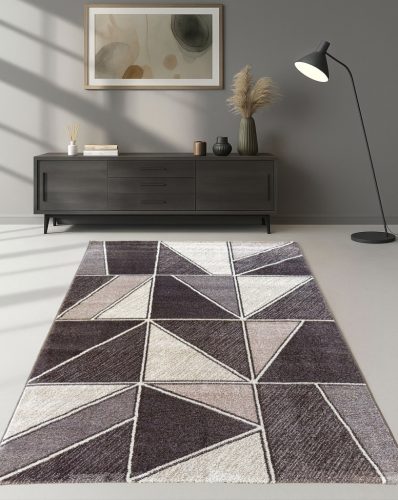 Modern szőnyeg Perry 5006 (D.Vizon) 120x170cm Barna