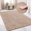 Modern szőnyeg Palm Plüss (Dark Beige) új