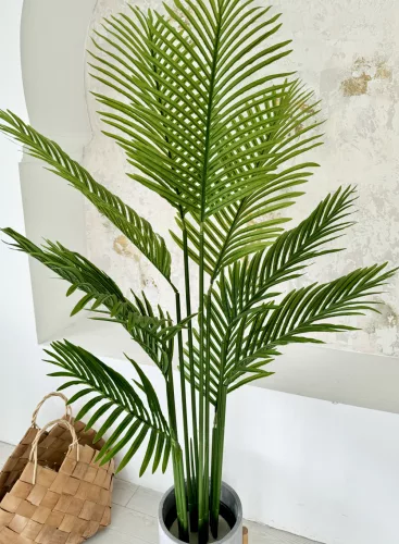 Műnövény Trópusi Tűleveles Dús Zöld 160cm magas fekete kaspóval