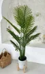 Műnövény Trópusi Tűleveles Dús Zöld 160cm magas fekete kaspóval