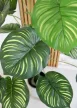Műnövény Trópusi 54 Zöld 120-115cm magas fekete vázával