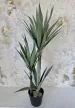 Műnövény Yuca pálma Élethű Zöld 120-130cm magas Fekete Vázával