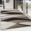 Modern szőnyeg Scarlett 4803 (Brown) 240x330cm Barna