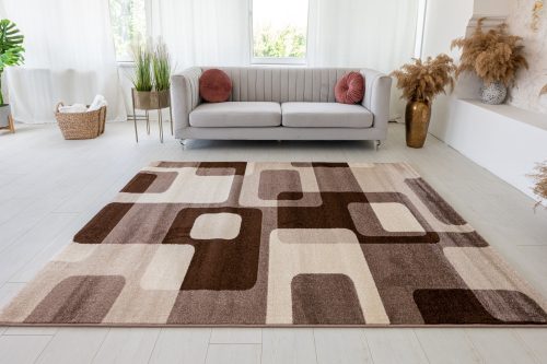 Modern szőnyeg Malaga 2301 (Brown) 200x280cm Barna