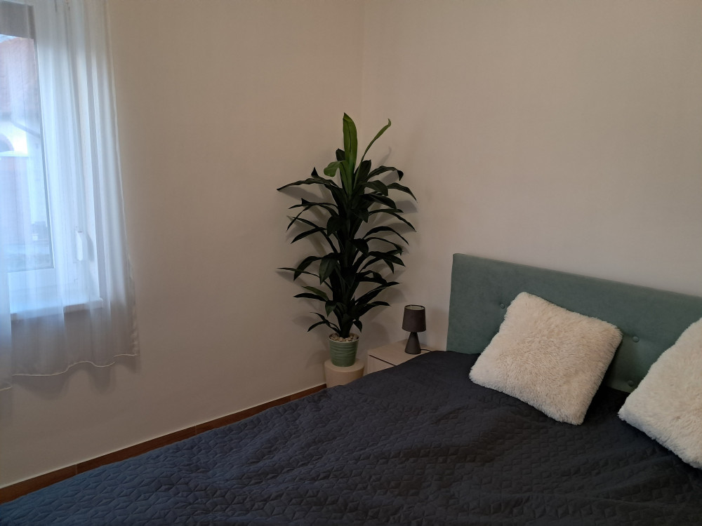 Műnövény Hawai Dús Zöld 130-135cm magas Kaspó nélkül
