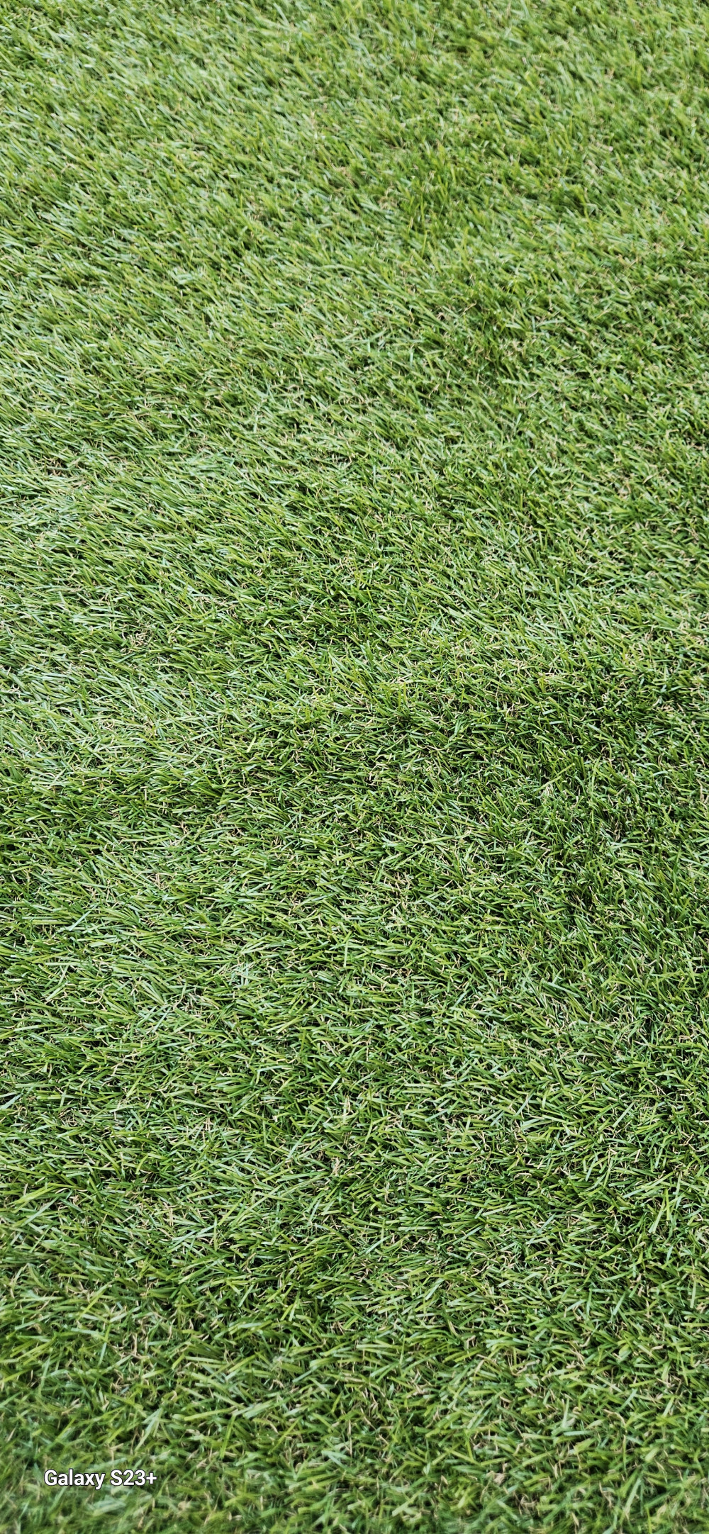 Műfű 30mm MALAGA Zöld kültéri 200cm széles tekercs
