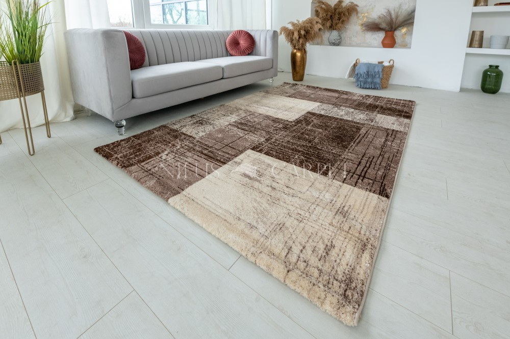 Modern szőnyeg Alina 2450 (Brown) 200x280cm Bézs