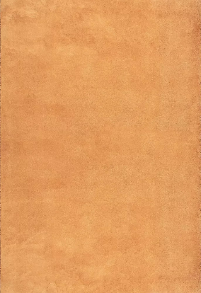 Modern szőnyeg Palm Plüss (Terra) 80x150cm Terra