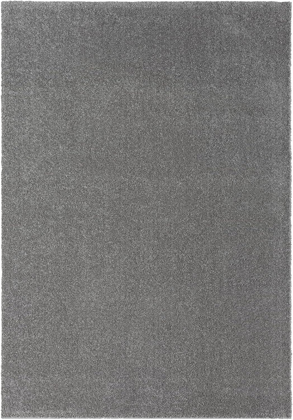 Modern szőnyeg Darwin (Grey) 80x150cm Szürke