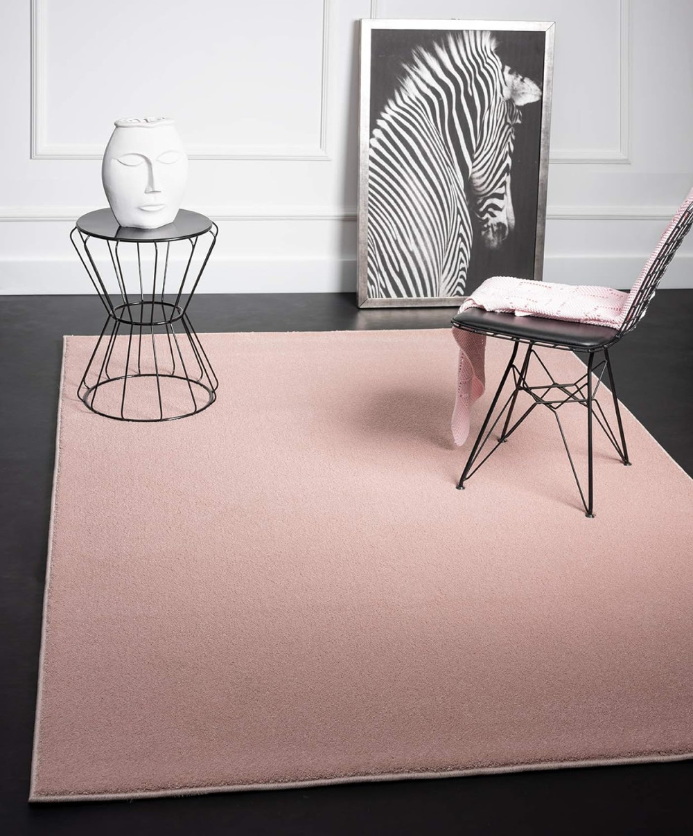 Modern szőnyeg Darwin (Pink) 80x150cm Púder